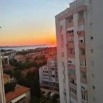 Neli זאדאר